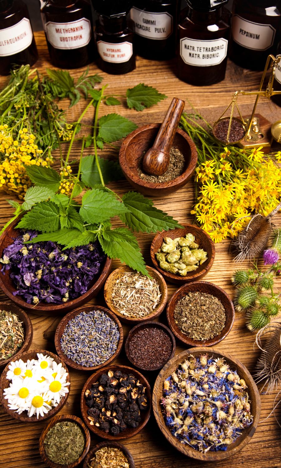 HERBAL MEDICINES