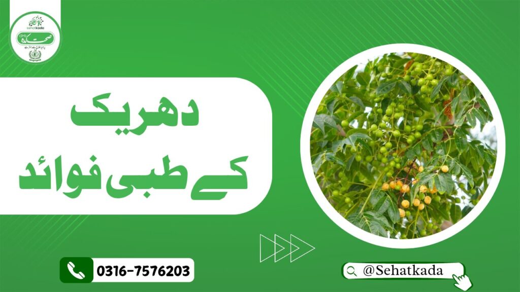 بکائن کا علاج | Bakain benefits | Persian Lilac herbal remedy