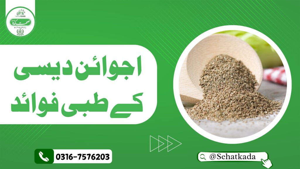 Sehatkada, Hakim Muzammil Rafiqi, Hakim Rafiq, Hakim Sabir Multani, Ajwain, Ajwain benefits, Carom Seeds, Ajwain ka nuskha, Herbal Remedy, Tibb-e-Sabir, Unani Treatment