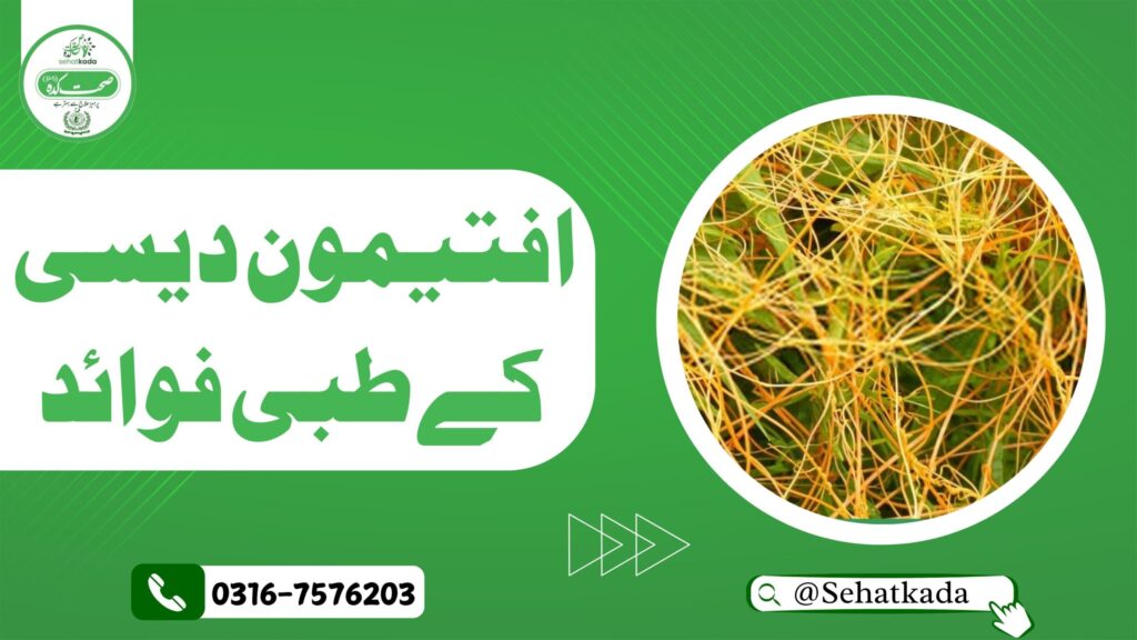 افتیمون کا دیسی علاج | Aftimoon ka Desi Ilaj | Dodder Herbal Remedy – Hakim Sabir Multani Sehatkada