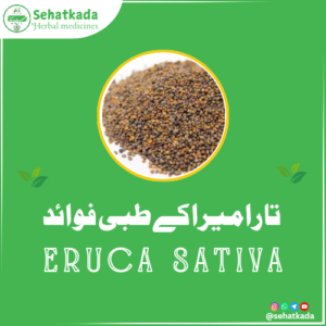تارامیرا، Eruca Sativa، Taramira benefits, Skin remedy, Hair growth, Herbal medicine, Unani treatment, Sehatkada,Sahatkada, Hakim Muzammil Rafiqi, Taramira, Eruca Sativa, Skin Remedy, Hair Health, Herbal Medicine, Unani Medicine, Talā’e Majlūq, Digestive Health